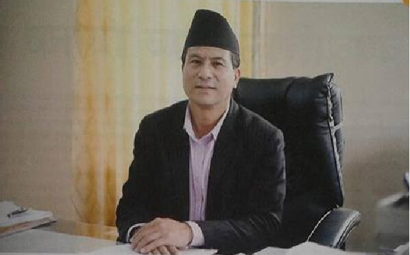 नगर प्रमुख